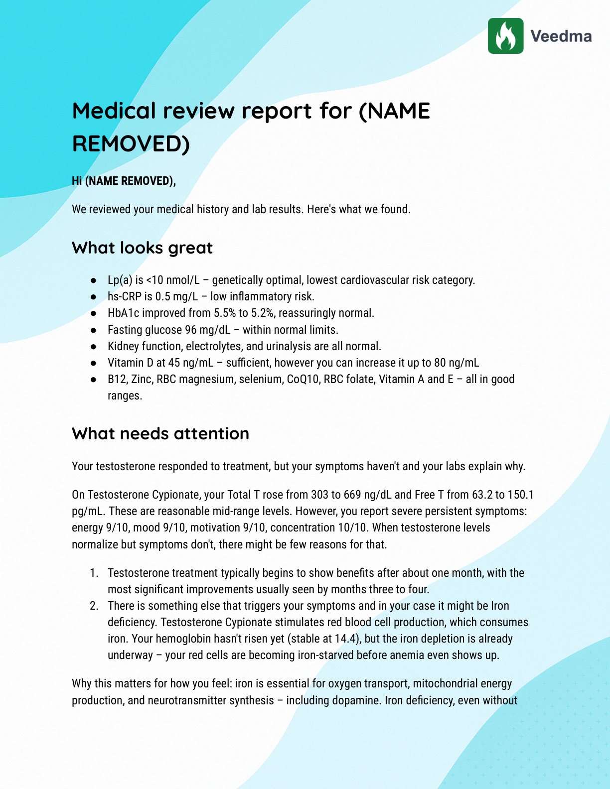 Veedma lab review report, TRT case, page 1